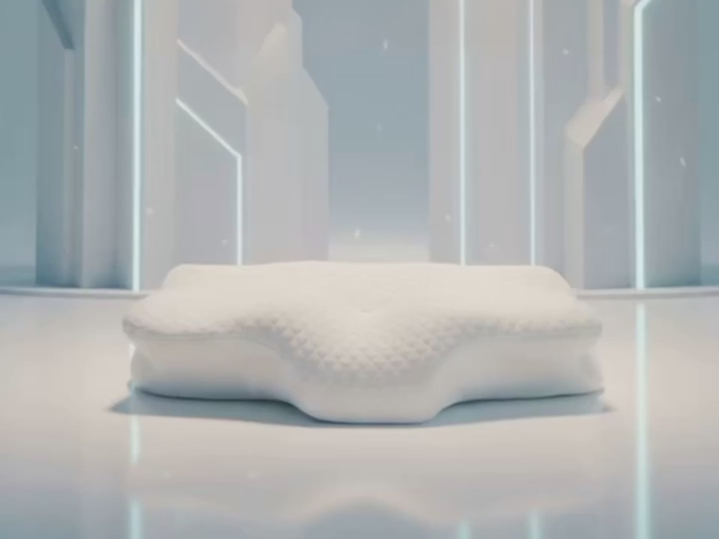 Charger la vidéo : 